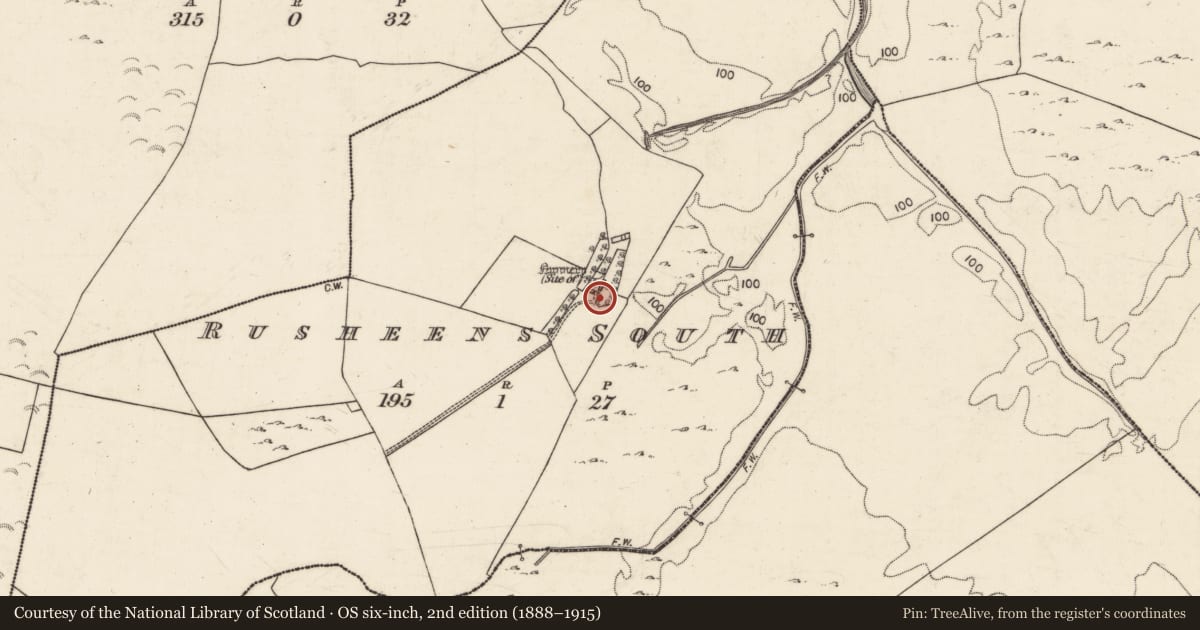 Ordnance Survey six-inch map, 2nd edition (1888–1915) covering the location of Religious house - unclassified, Rusheens South, County Galway, with a pin at the register's coordinates