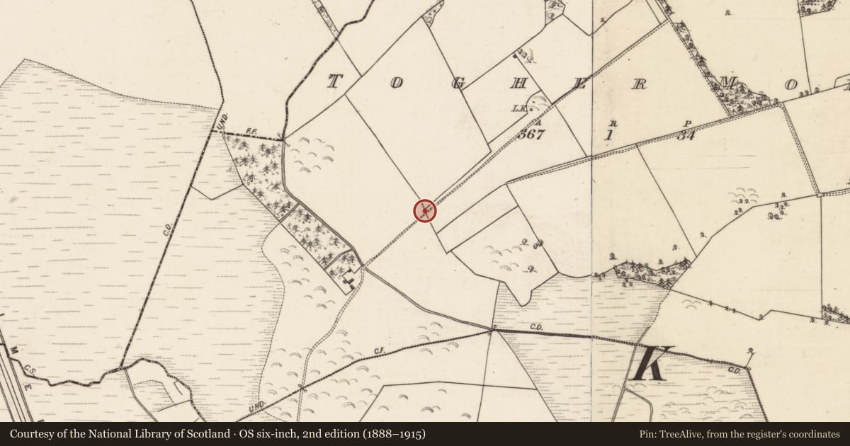 Ordnance Survey six-inch map, 2nd edition (1888–1915) covering the location of Road - gravel/stone trackway - peatland, Shantallow, Togher More, County Galway, with a pin at the register's coordinates