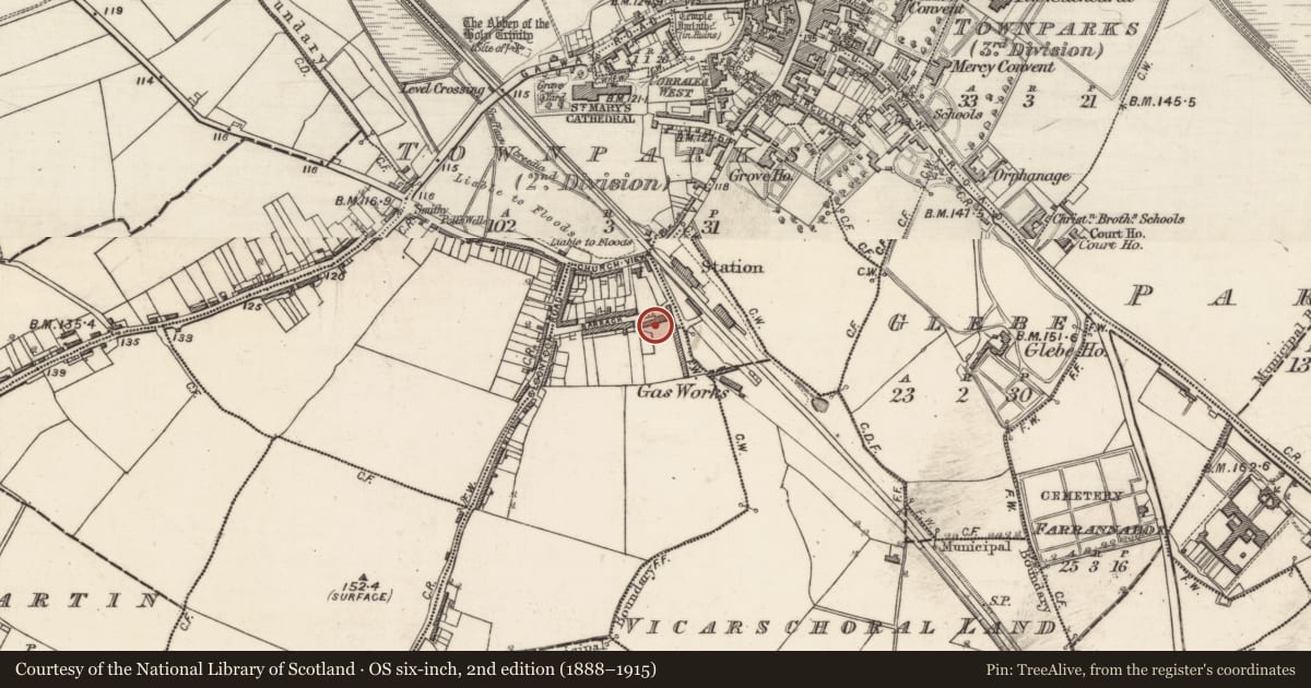 Ordnance Survey six-inch map, 2nd edition (1888–1915) covering the location of Kiln - corn-drying, Tirboy, County Galway, with a pin at the register's coordinates