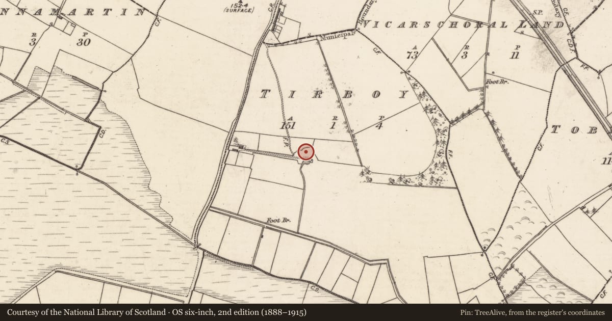 Ordnance Survey six-inch map, 2nd edition (1888–1915) covering the location of Kiln - lime, Tirboy, County Galway, with a pin at the register's coordinates