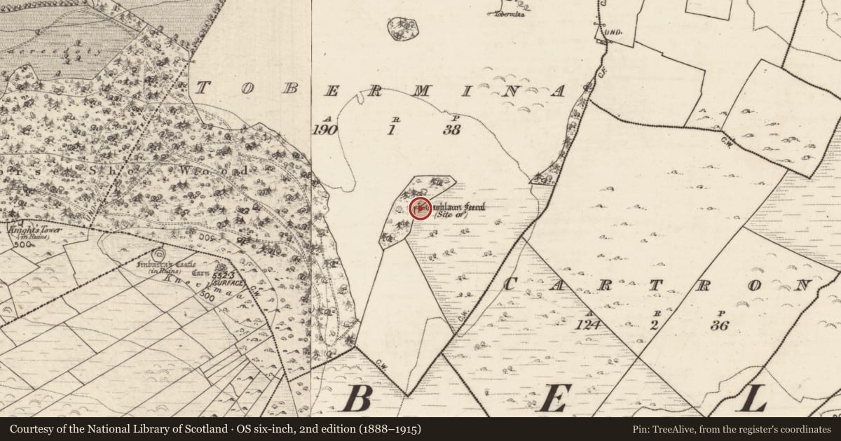 Ordnance Survey six-inch map, 2nd edition (1888–1915) covering the location of Ringfort - cashel, Tobermina, County Galway, with a pin at the register's coordinates