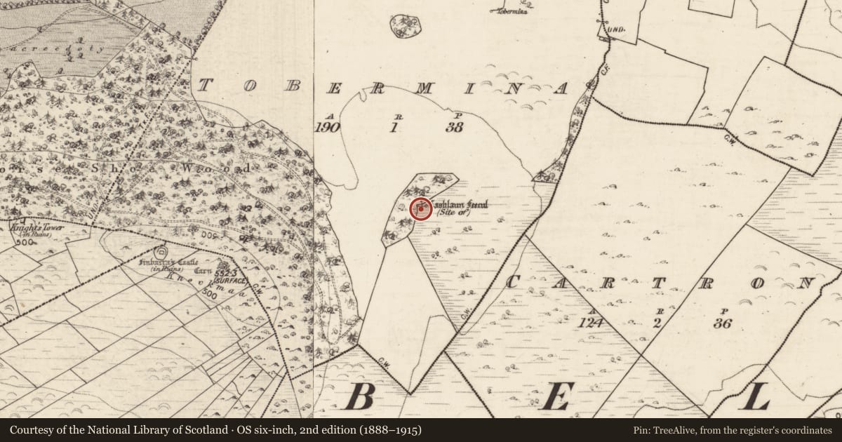 Ordnance Survey six-inch map, 2nd edition (1888–1915) covering the location of Castle - unclassified, Tobermina, County Galway, with a pin at the register's coordinates