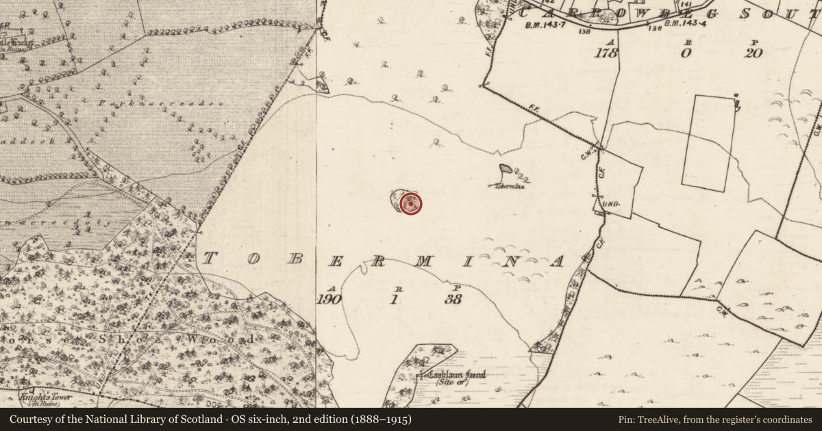 Ordnance Survey six-inch map, 2nd edition (1888–1915) covering the location of Designed landscape - tree-ring, Tobermina, County Galway, with a pin at the register's coordinates