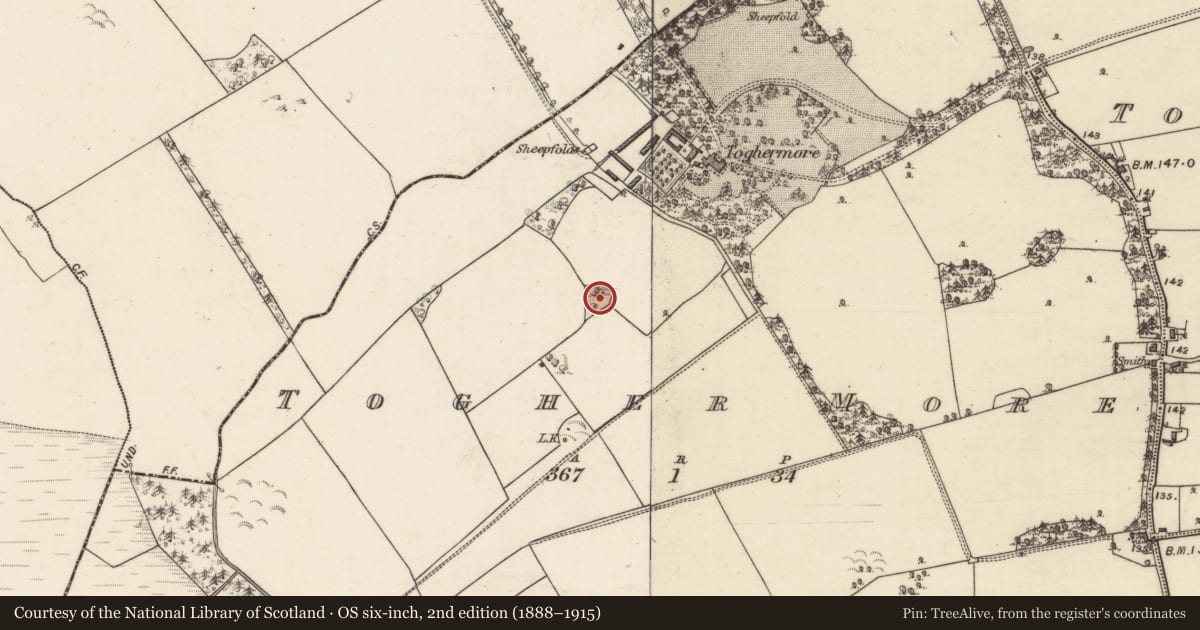 Ordnance Survey six-inch map, 2nd edition (1888–1915) covering the location of Designed landscape - tree-ring, Togher More, County Galway, with a pin at the register's coordinates