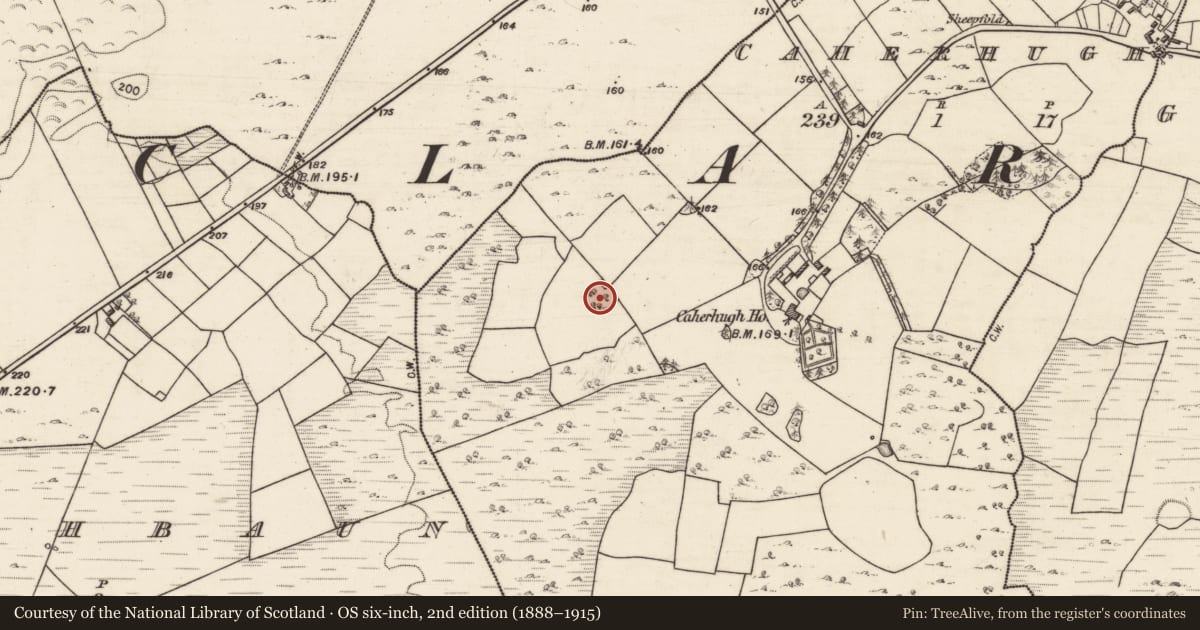 Ordnance Survey six-inch map, 2nd edition (1888–1915) covering the location of Ringfort - cashel, Caherhugh, County Galway, with a pin at the register's coordinates