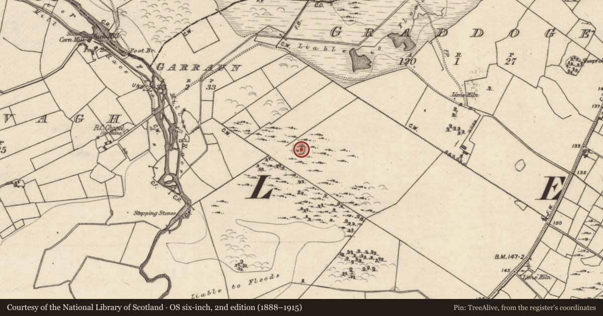 Ordnance Survey six-inch map, 2nd edition (1888–1915) covering the location of Ringfort - cashel, Barbersfort, County Galway, with a pin at the register's coordinates