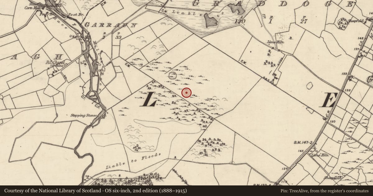 Ordnance Survey six-inch map, 2nd edition (1888–1915) covering the location of House - indeterminate date, Barbersfort, County Galway, with a pin at the register's coordinates