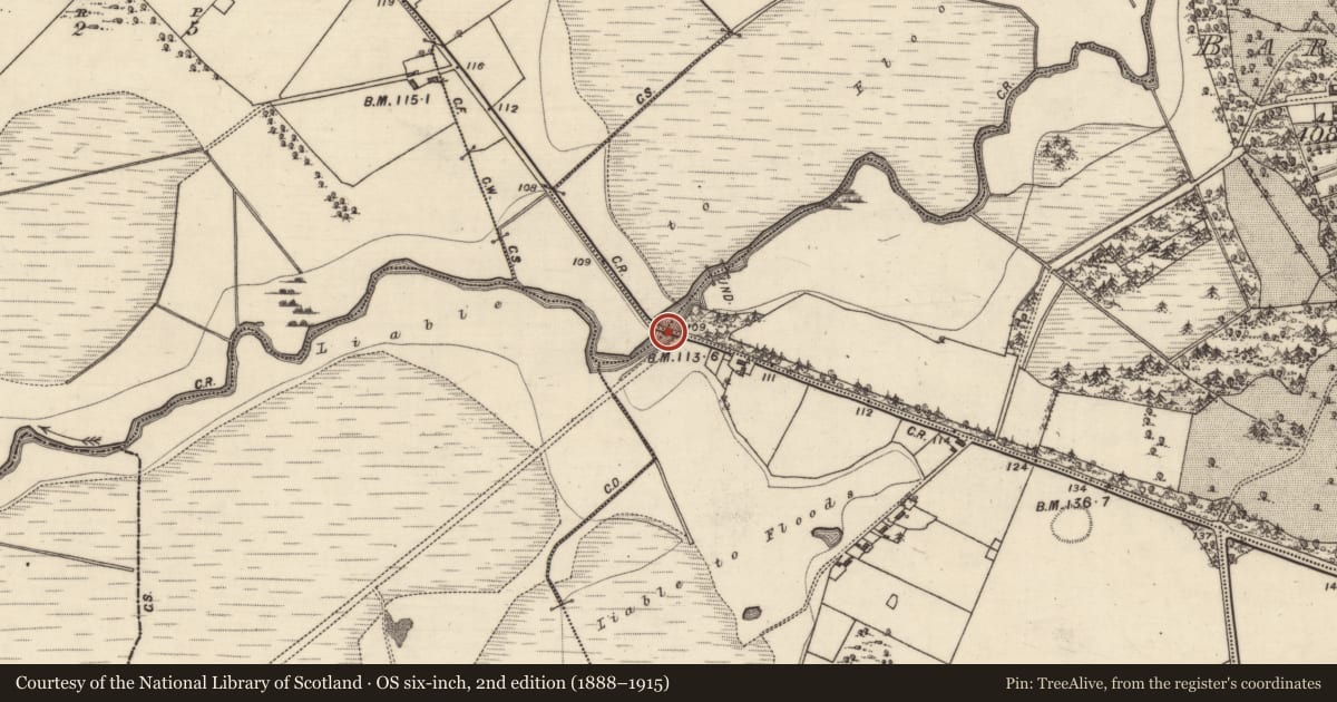 Ordnance Survey six-inch map, 2nd edition (1888–1915) covering the location of Bridge, County Galway, with a pin at the register's coordinates