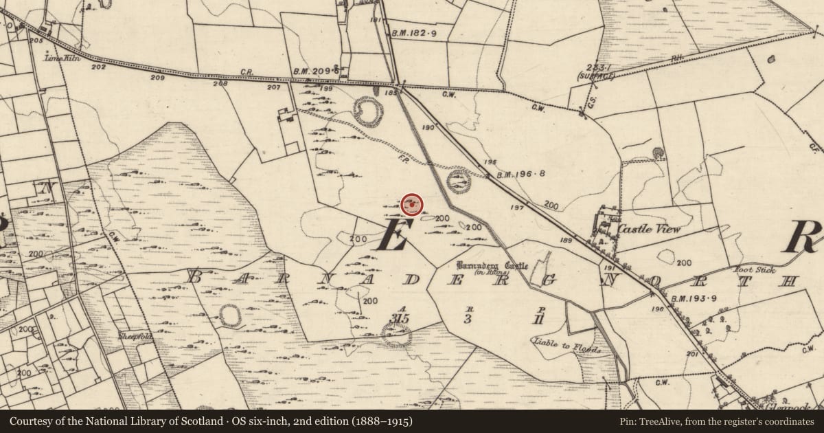 Ordnance Survey six-inch map, 2nd edition (1888–1915) covering the location of Field system, Barnaderg North, County Galway, with a pin at the register's coordinates