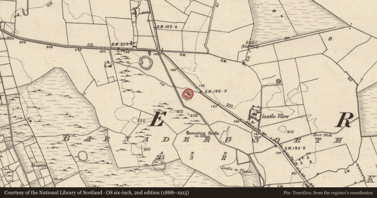 Ordnance Survey six-inch map, 2nd edition (1888–1915) covering the location of Ringfort - cashel, Barnaderg North, County Galway, with a pin at the register's coordinates
