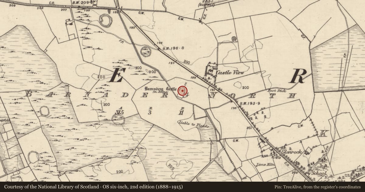 Ordnance Survey six-inch map, 2nd edition (1888–1915) covering the location of Castle - tower house, Barnaderg North, County Galway, with a pin at the register's coordinates