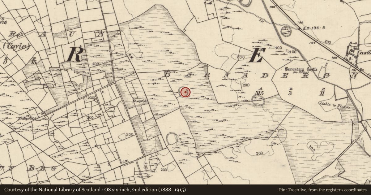 Ordnance Survey six-inch map, 2nd edition (1888–1915) covering the location of House - indeterminate date, Barnaderg North, County Galway, with a pin at the register's coordinates