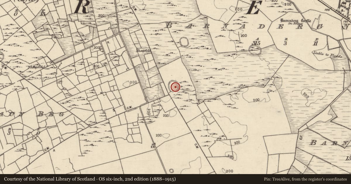 Ordnance Survey six-inch map, 2nd edition (1888–1915) covering the location of Ringfort - cashel, Barnaderg North, County Galway, with a pin at the register's coordinates