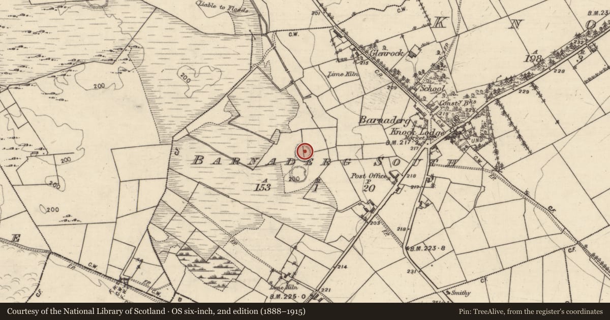 Ordnance Survey six-inch map, 2nd edition (1888–1915) covering the location of Ringfort - rath, Barnaderg South, County Galway, with a pin at the register's coordinates