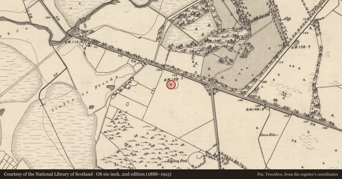 Ordnance Survey six-inch map, 2nd edition (1888–1915) covering the location of Ringfort - unclassified, Cahergal, County Galway, with a pin at the register's coordinates