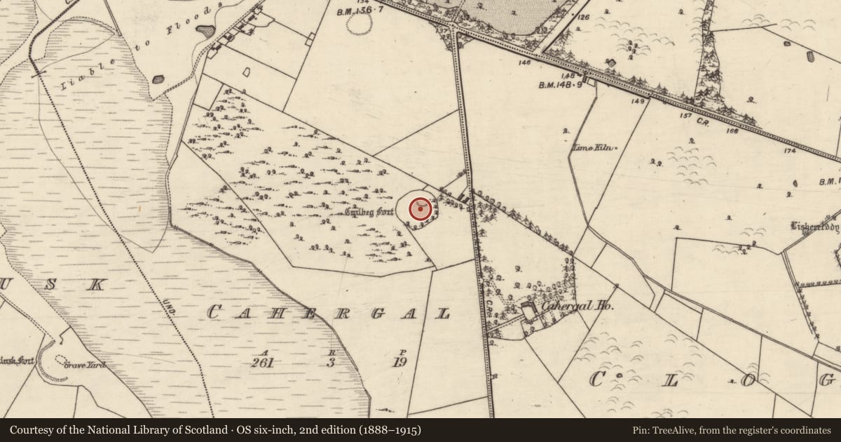 Ordnance Survey six-inch map, 2nd edition (1888–1915) covering the location of Ringfort - cashel, Cahergal, County Galway, with a pin at the register's coordinates