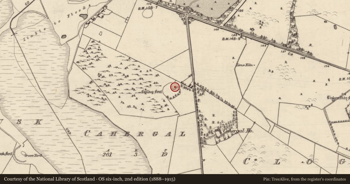 Ordnance Survey six-inch map, 2nd edition (1888–1915) covering the location of Structure, Cahergal, County Galway, with a pin at the register's coordinates
