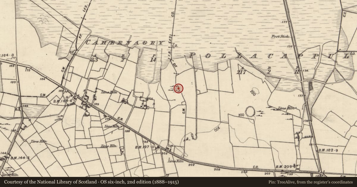 Ordnance Survey six-inch map, 2nd edition (1888–1915) covering the location of Ringfort - cashel, Cahernagry, Pollacappul, County Galway, with a pin at the register's coordinates