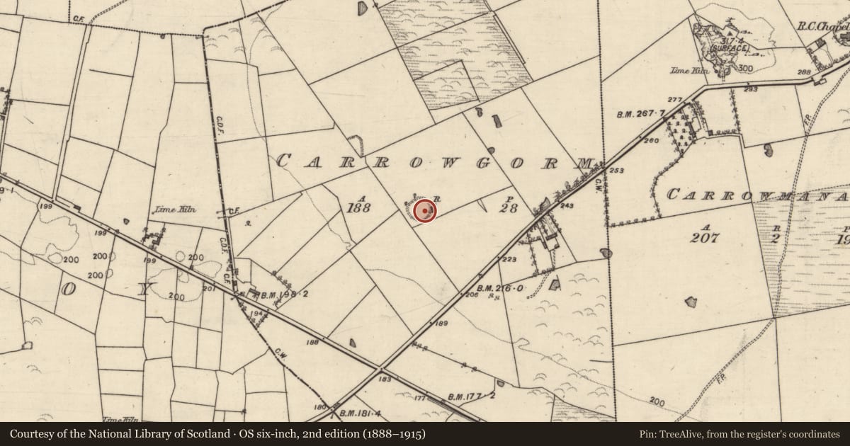 Ordnance Survey six-inch map, 2nd edition (1888–1915) covering the location of Ringfort - rath, Carrowgorm, County Galway, with a pin at the register's coordinates