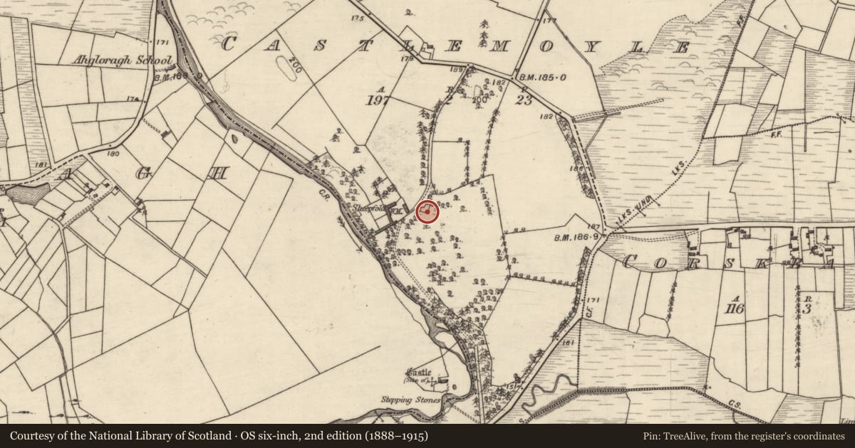 Ordnance Survey six-inch map, 2nd edition (1888–1915) covering the location of House - 18th/19th century, Castlemoyle, County Galway, with a pin at the register's coordinates
