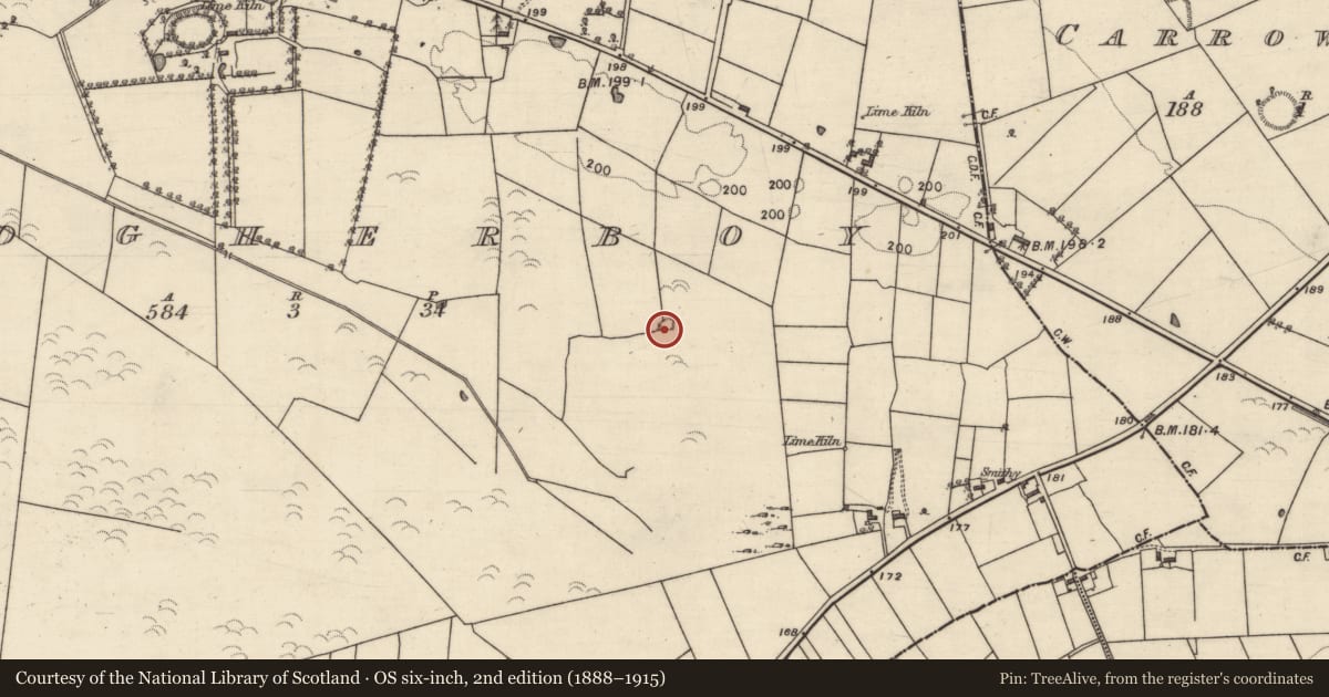 Ordnance Survey six-inch map, 2nd edition (1888–1915) covering the location of Quarry, Clogherboy, County Galway, with a pin at the register's coordinates