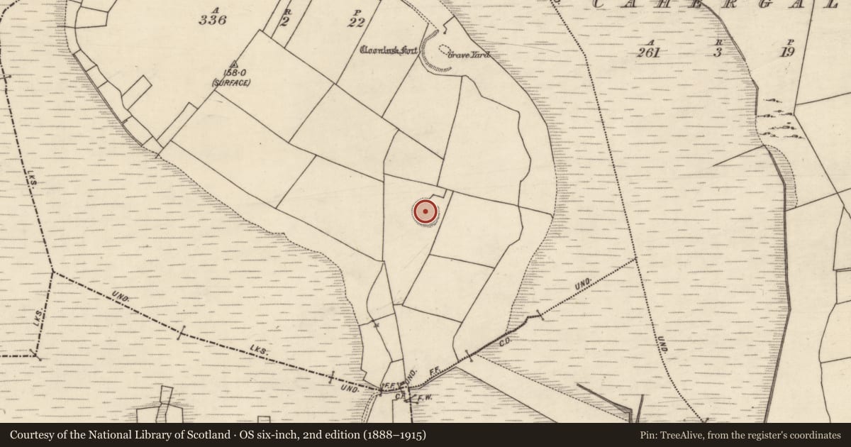 Ordnance Survey six-inch map, 2nd edition (1888–1915) covering the location of Ringfort - rath, Cloonlusk, County Galway, with a pin at the register's coordinates