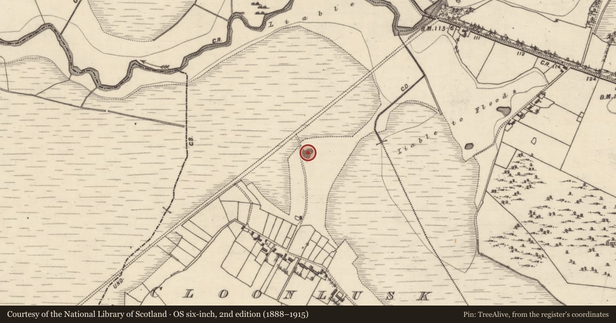 Ordnance Survey six-inch map, 2nd edition (1888–1915) covering the location of Quarry, Cloonlusk, County Galway, with a pin at the register's coordinates