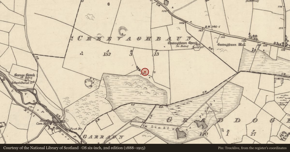 Ordnance Survey six-inch map, 2nd edition (1888–1915) covering the location of Ringfort - rath, Creevaghbaun, County Galway, with a pin at the register's coordinates