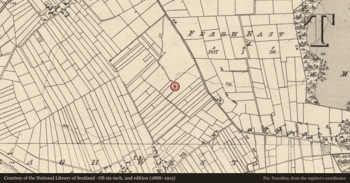 Ordnance Survey six-inch map, 2nd edition (1888–1915) covering the location of Ringfort - unclassified, Feagh West, County Galway, with a pin at the register's coordinates