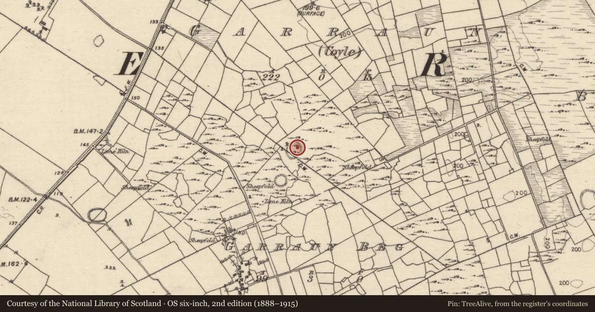 Ordnance Survey six-inch map, 2nd edition (1888–1915) covering the location of House - indeterminate date, Garraun (Coyle), County Galway, with a pin at the register's coordinates