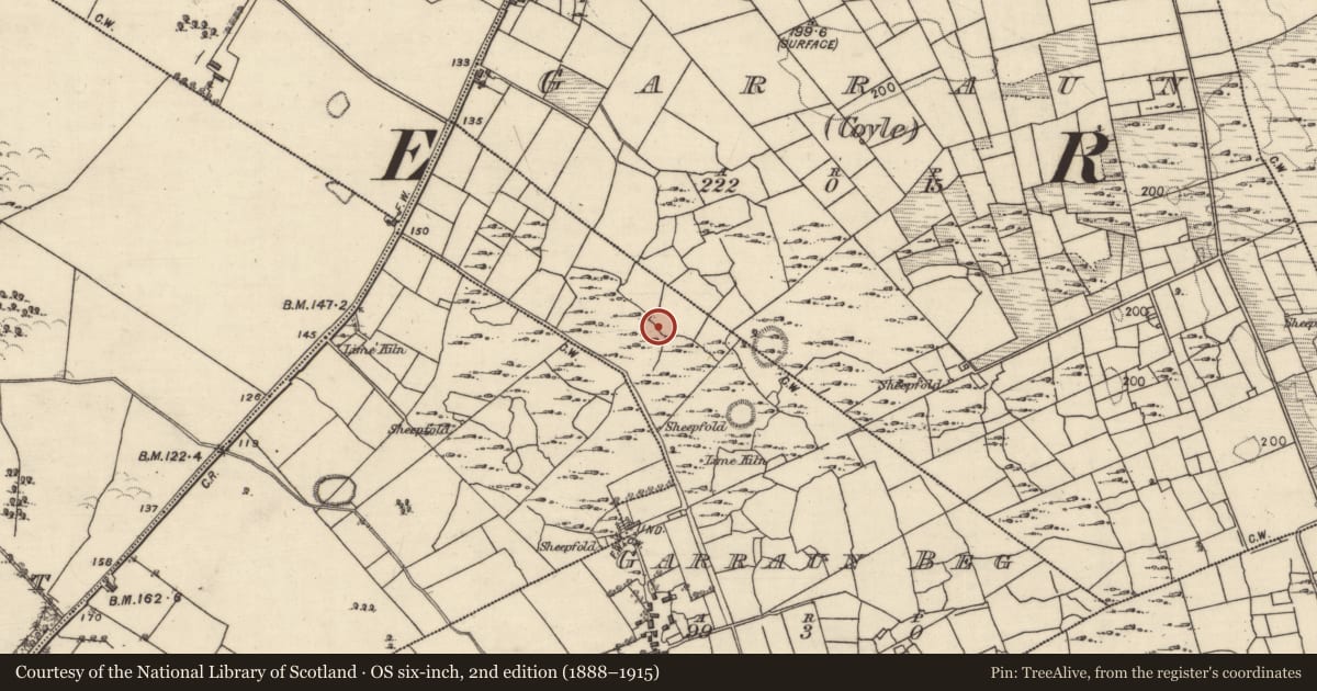 Ordnance Survey six-inch map, 2nd edition (1888–1915) covering the location of Field system, Garraun Beg, County Galway, with a pin at the register's coordinates