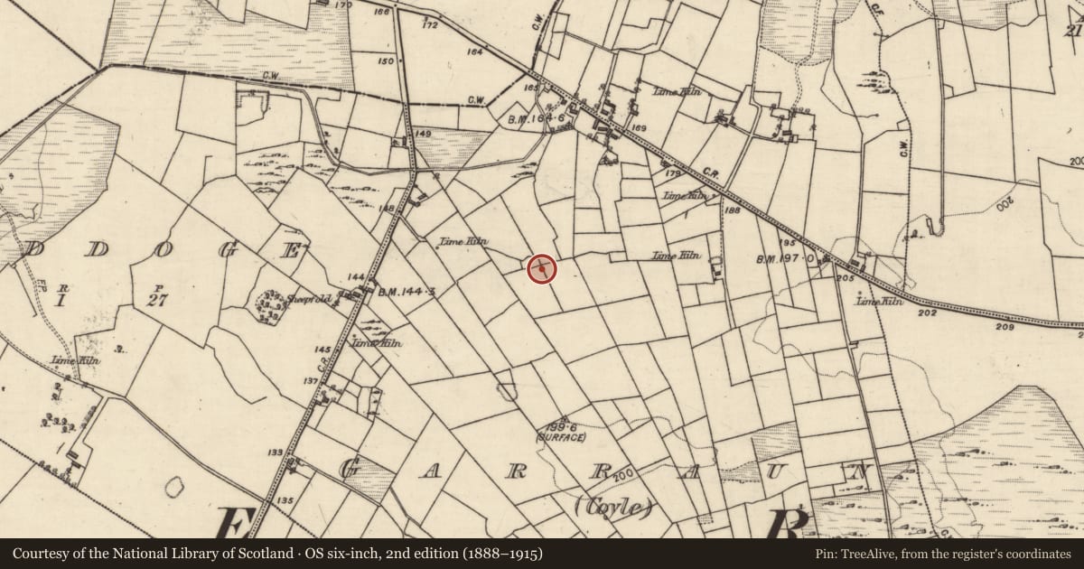 Ordnance Survey six-inch map, 2nd edition (1888–1915) covering the location of Ringfort - cashel, Garraun (Coyle), County Galway, with a pin at the register's coordinates