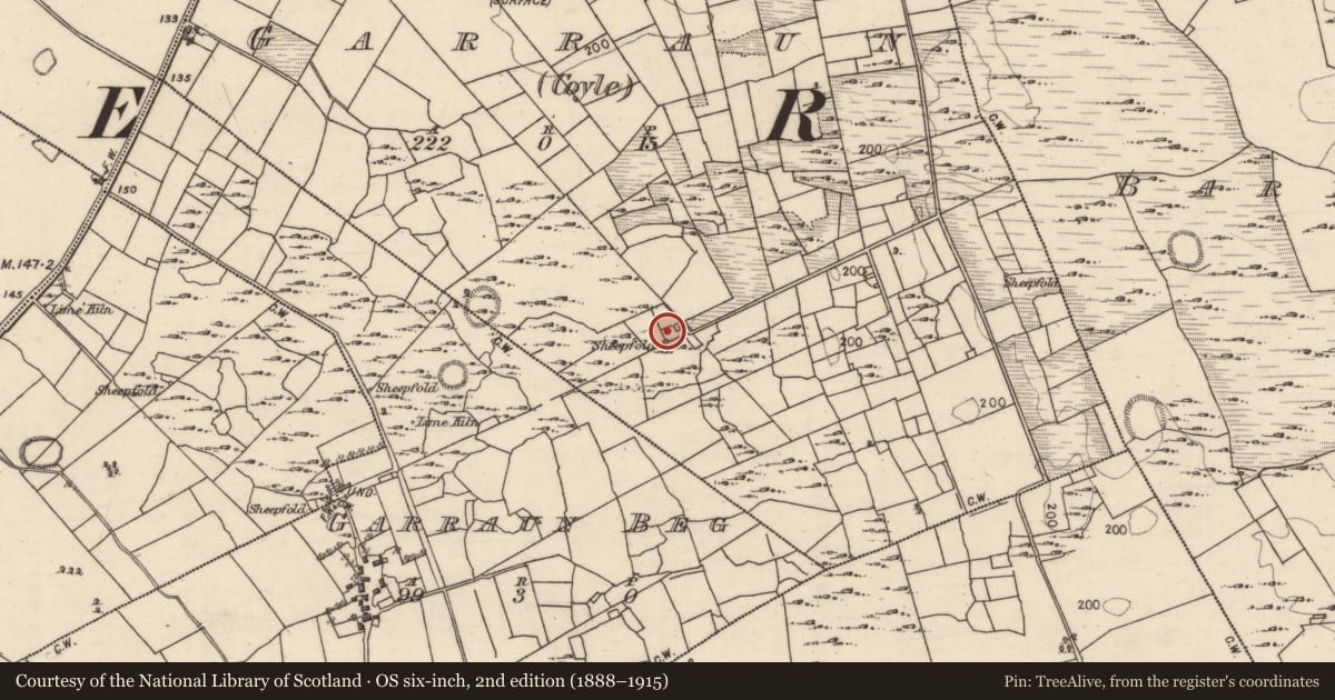 Ordnance Survey six-inch map, 2nd edition (1888–1915) covering the location of Field system, Garraun (Coyle), County Galway, with a pin at the register's coordinates