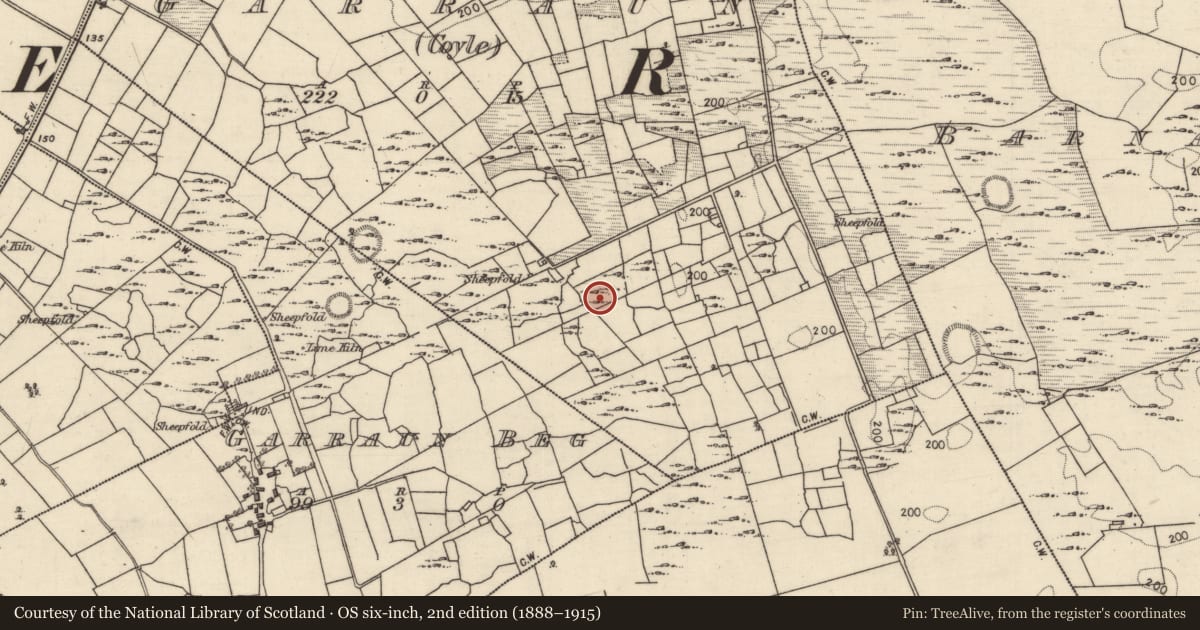 Ordnance Survey six-inch map, 2nd edition (1888–1915) covering the location of Ringfort - cashel, Garraun (Coyle), County Galway, with a pin at the register's coordinates