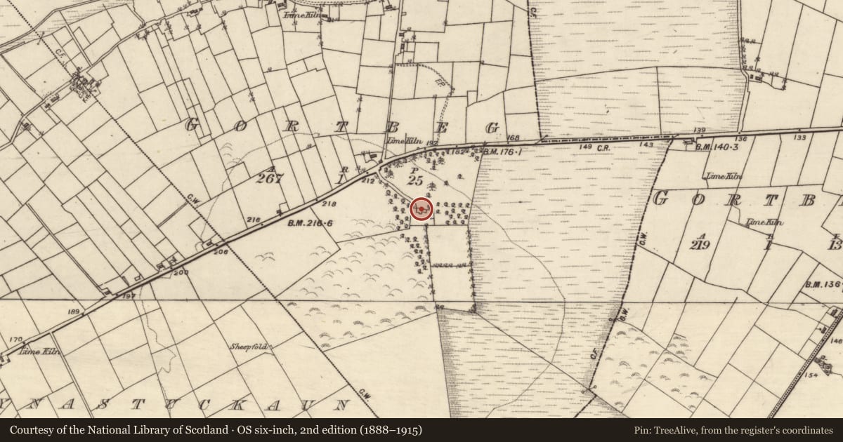 Ordnance Survey six-inch map, 2nd edition (1888–1915) covering the location of House - 18th/19th century, Gortbeg, County Galway, with a pin at the register's coordinates