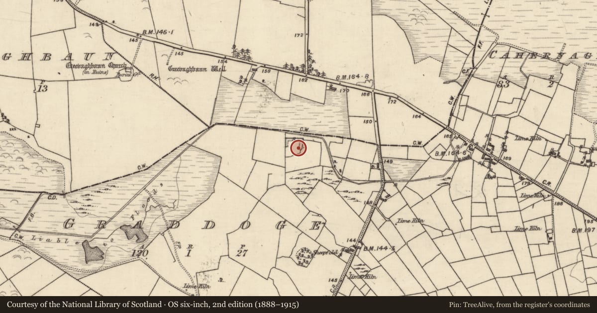 Ordnance Survey six-inch map, 2nd edition (1888–1915) covering the location of Moated site, Graddoge, County Galway, with a pin at the register's coordinates