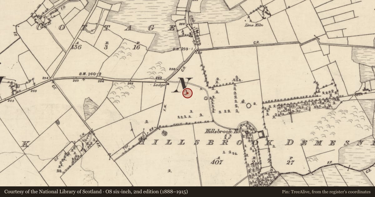 Ordnance Survey six-inch map, 2nd edition (1888–1915) covering the location of Designed landscape - tree-ring, Hillsbrook Demesne, County Galway, with a pin at the register's coordinates