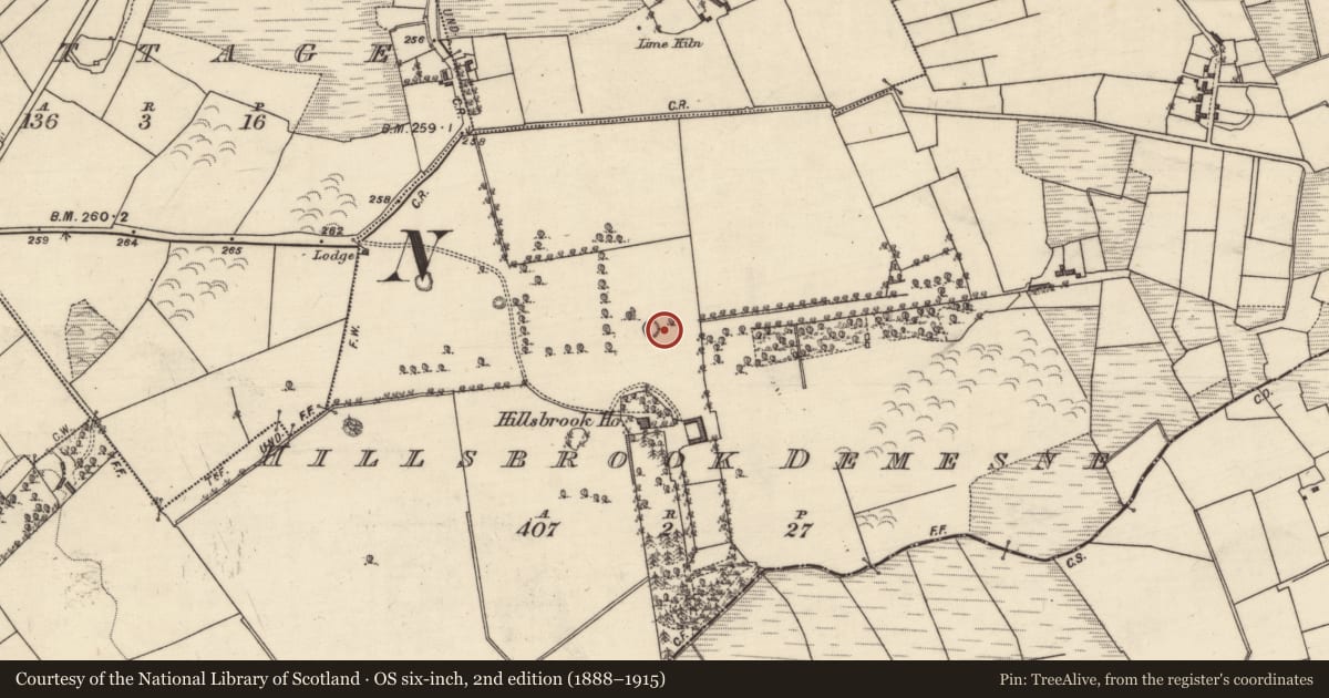 Ordnance Survey six-inch map, 2nd edition (1888–1915) covering the location of Designed landscape - tree-ring, Hillsbrook Demesne, County Galway, with a pin at the register's coordinates
