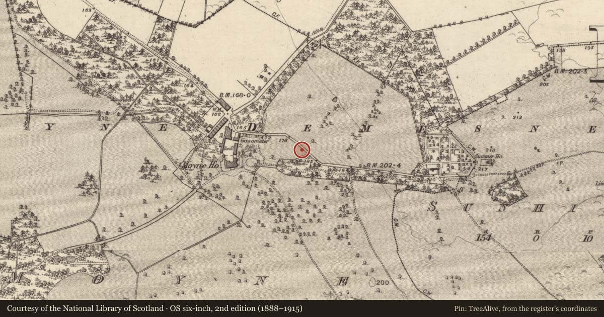 Ordnance Survey six-inch map, 2nd edition (1888–1915) covering the location of Burial ground, Moyne, County Galway, with a pin at the register's coordinates