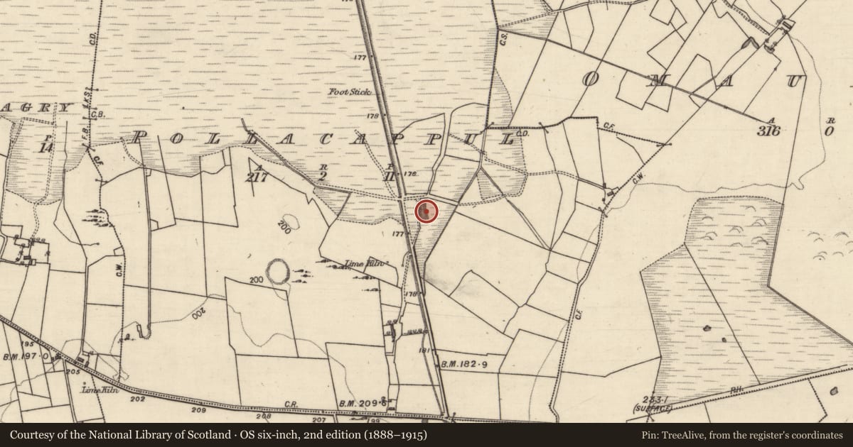 Ordnance Survey six-inch map, 2nd edition (1888–1915) covering the location of Quarry, Pollacappul, County Galway, with a pin at the register's coordinates