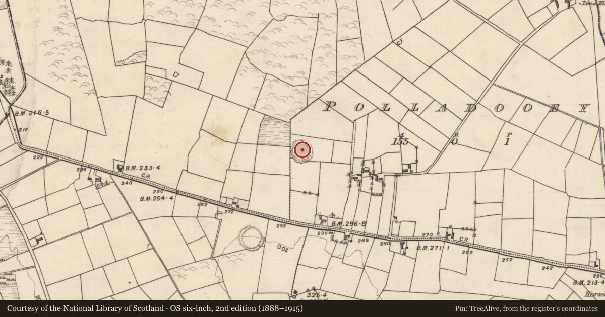 Ordnance Survey six-inch map, 2nd edition (1888–1915) covering the location of Ringfort - rath, Polladooey, County Galway, with a pin at the register's coordinates