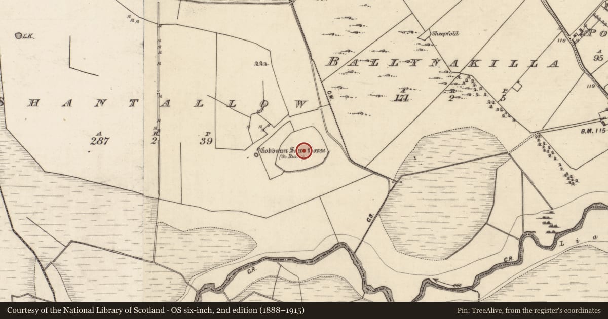 Ordnance Survey six-inch map, 2nd edition (1888–1915) covering the location of Burial ground, Shantallow, County Galway, with a pin at the register's coordinates