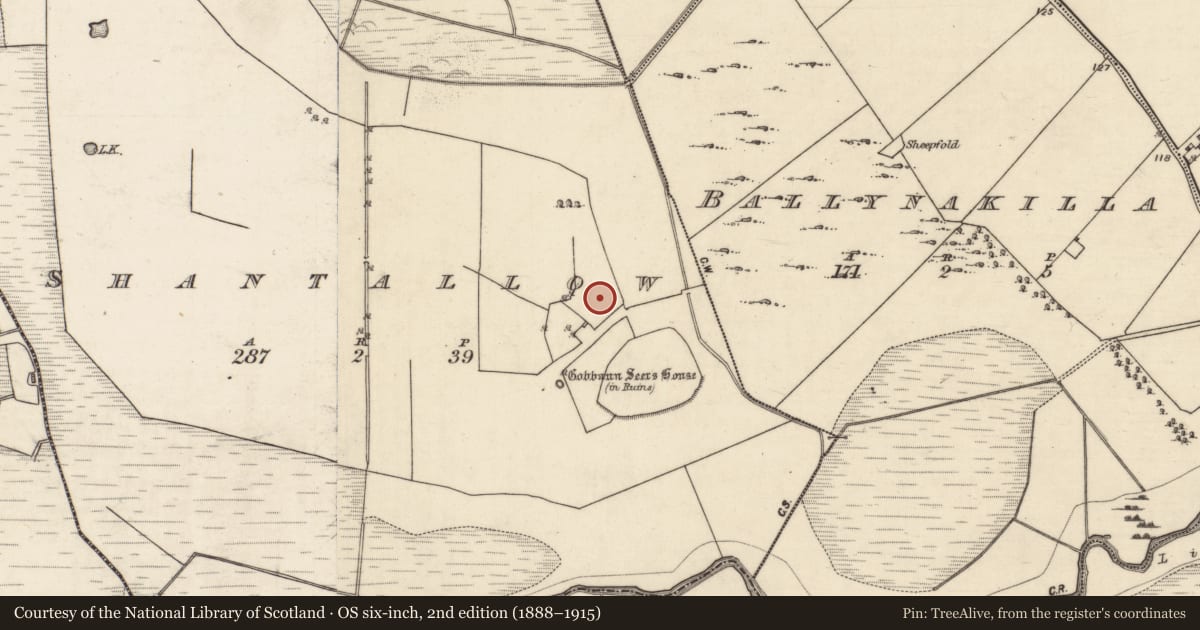 Ordnance Survey six-inch map, 2nd edition (1888–1915) covering the location of Children's burial ground, Shantallow, County Galway, with a pin at the register's coordinates
