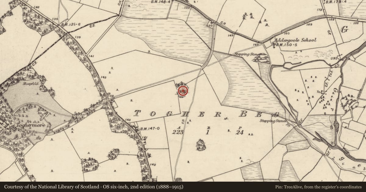 Ordnance Survey six-inch map, 2nd edition (1888–1915) covering the location of Designed landscape feature, Togher Beg, County Galway, with a pin at the register's coordinates
