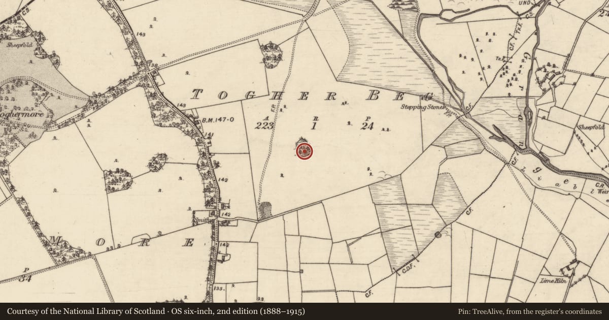 Ordnance Survey six-inch map, 2nd edition (1888–1915) covering the location of Designed landscape feature, Togher Beg, County Galway, with a pin at the register's coordinates