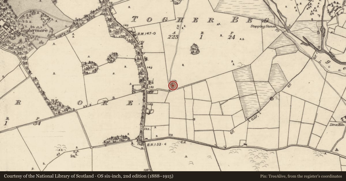 Ordnance Survey six-inch map, 2nd edition (1888–1915) covering the location of Quarry, Togher Beg, County Galway, with a pin at the register's coordinates