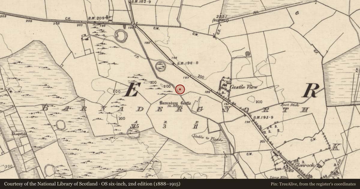 Ordnance Survey six-inch map, 2nd edition (1888–1915) covering the location of Enclosure, Barnaderg North, County Galway, with a pin at the register's coordinates