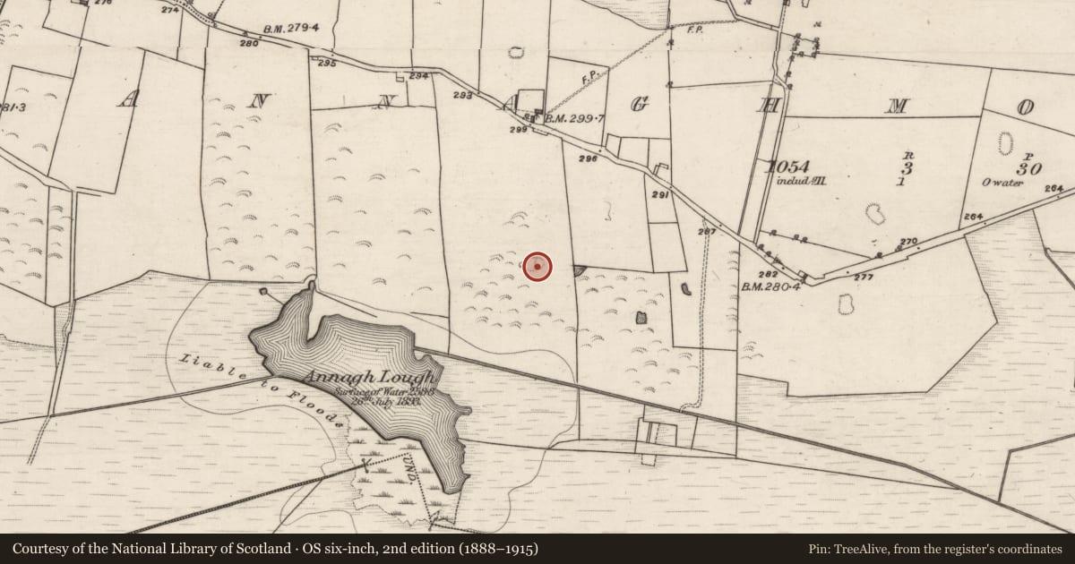 Ordnance Survey six-inch map, 2nd edition (1888–1915) covering the location of Children's burial ground, Annaghmore East, County Galway, with a pin at the register's coordinates