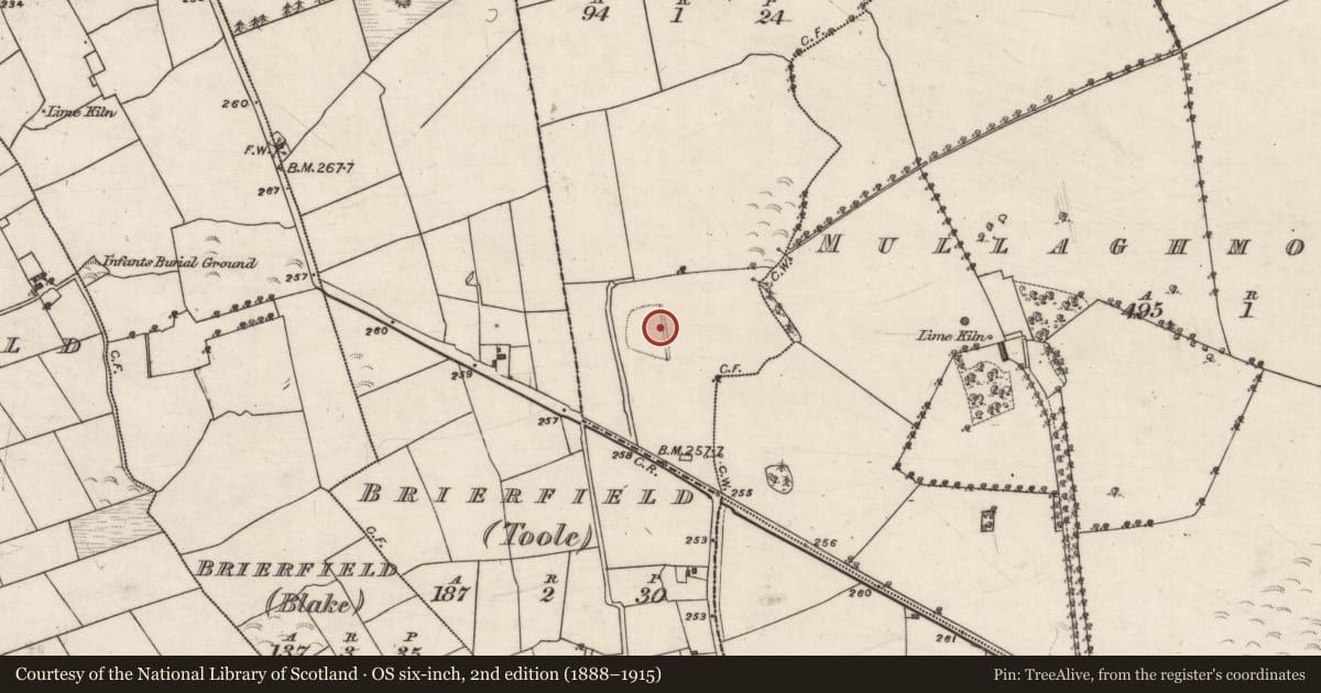 Ordnance Survey six-inch map, 2nd edition (1888–1915) covering the location of Enclosure, Brierfield, County Galway, with a pin at the register's coordinates