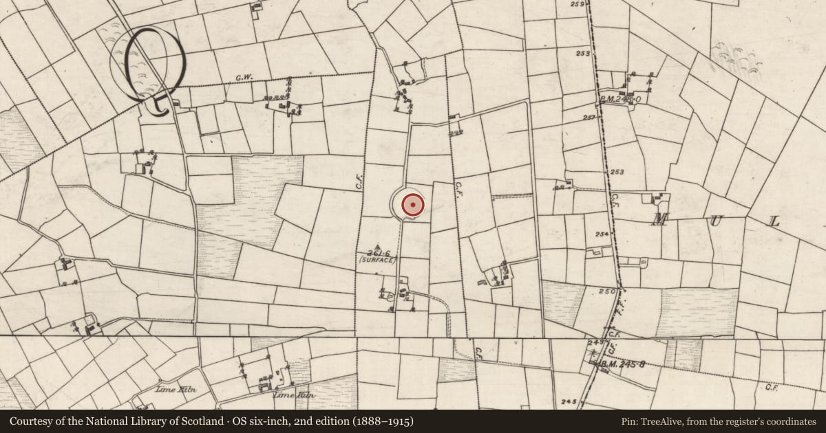 Ordnance Survey six-inch map, 2nd edition (1888–1915) covering the location of Ringfort - rath, Brierfield (Blake), County Galway, with a pin at the register's coordinates